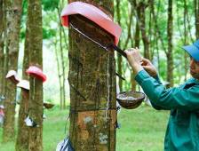  Lợi nhuận tăng trưởng nhờ ảnh hưởng từ tình hình chung trên thế giới
